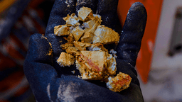 Texas rare-earth project aims to curb US reliance on China, strengthen national security