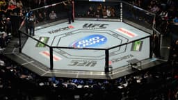 UFC, Bud Light team up to make already highly anticipated summer of fights that much better: 'A fan delight'