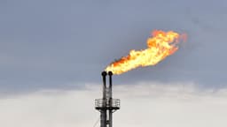 Trump vindicated as OPEC faces collapse following UAE departure